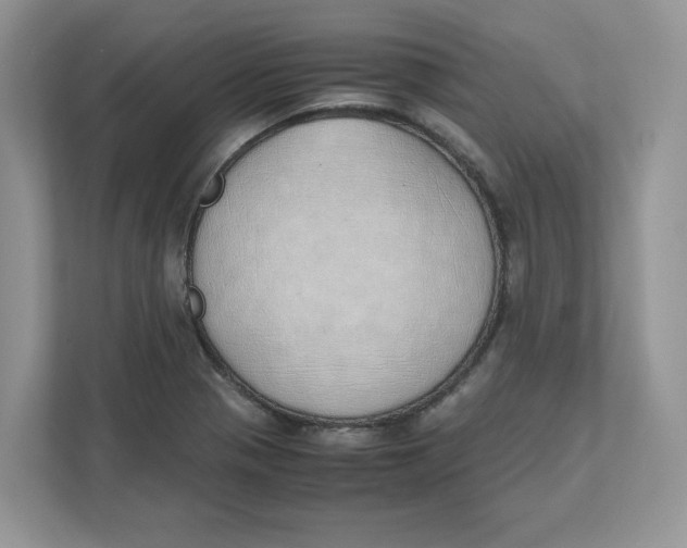 X0000111491321200908041134