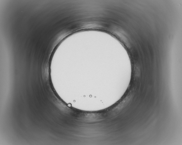 X0000111491322200908041134