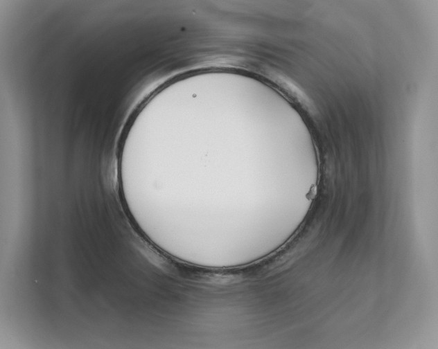 X0000111491324200908041134