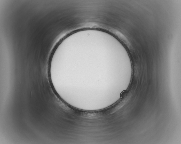 X0000111491326200908041134