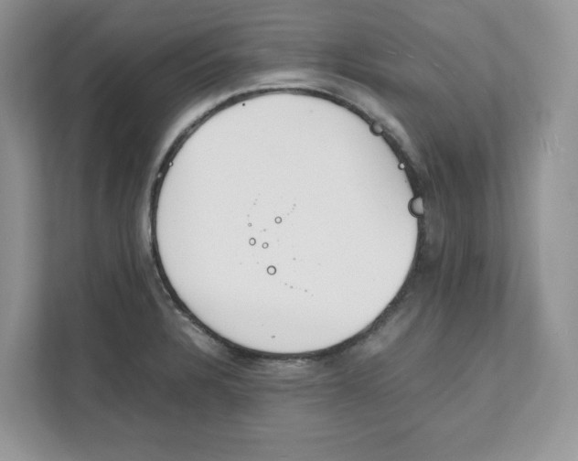 X0000111491328200908041134