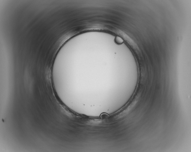 X0000111491329200908041134