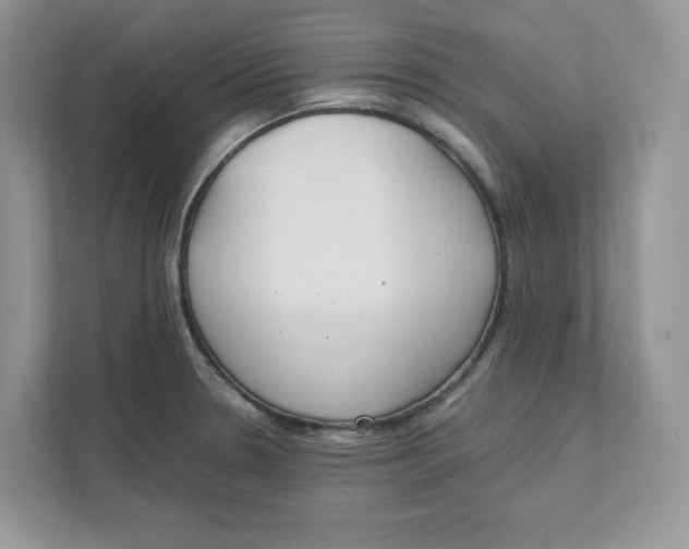 X0000111491330200908041134