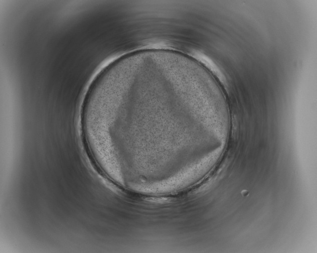 X0000111491331200908041134