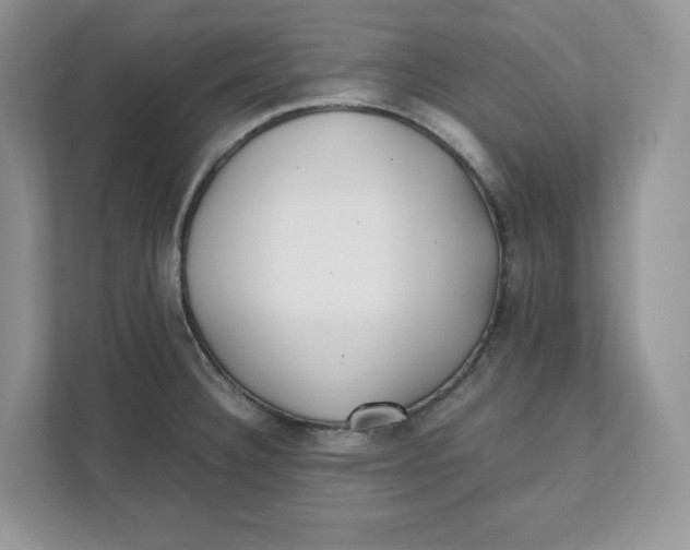 X0000111491332200908041134