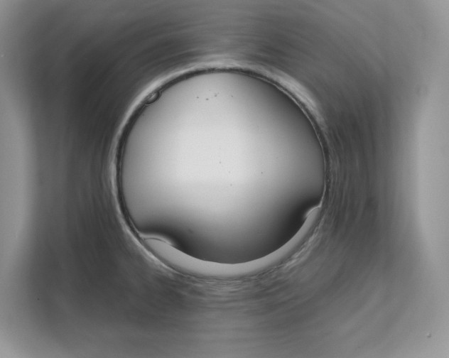 X0000111491334200908041134