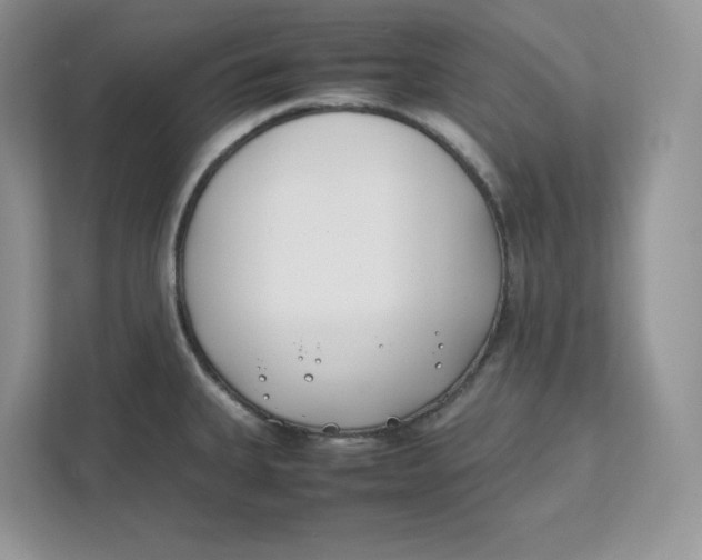 X0000111491335200908041134