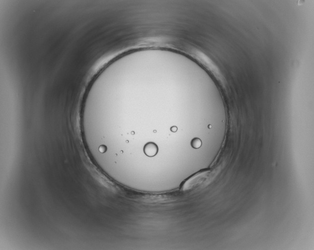 X0000111491336200908041134