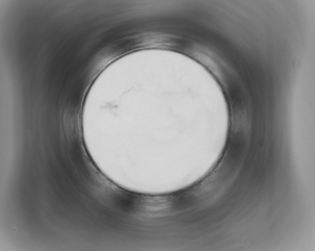 X0000111491338200908041134