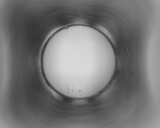 X0000111491339200908041134