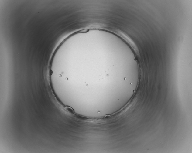 X0000111491340200908041134