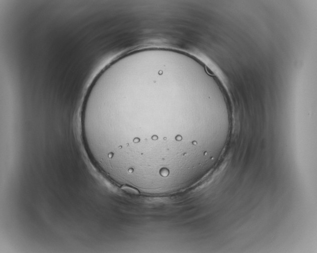 X0000111491341200908041134