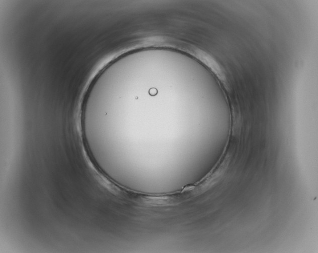 X0000111491342200908041134