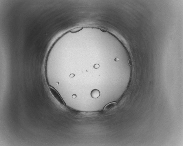 X0000111491344200908041134