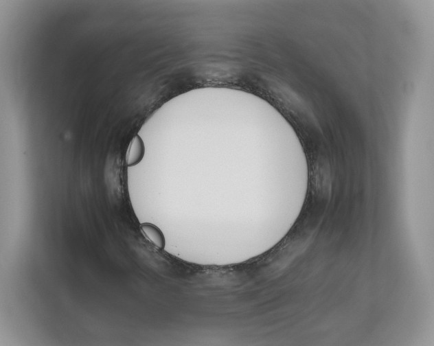 X0000111491346200908041134