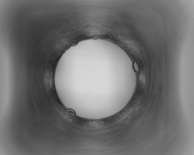 X0000111491348200908041134