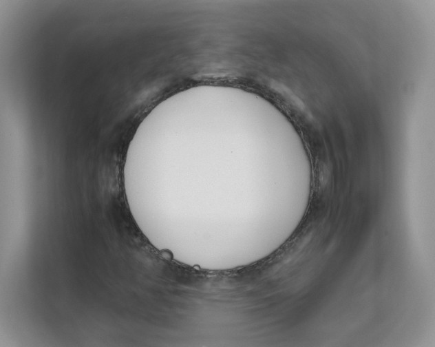 X0000111491350200908041134