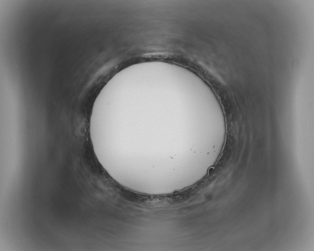 X0000111491351200908041134