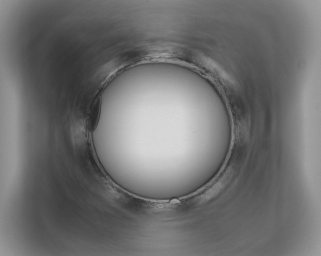 X0000111491353200908041134