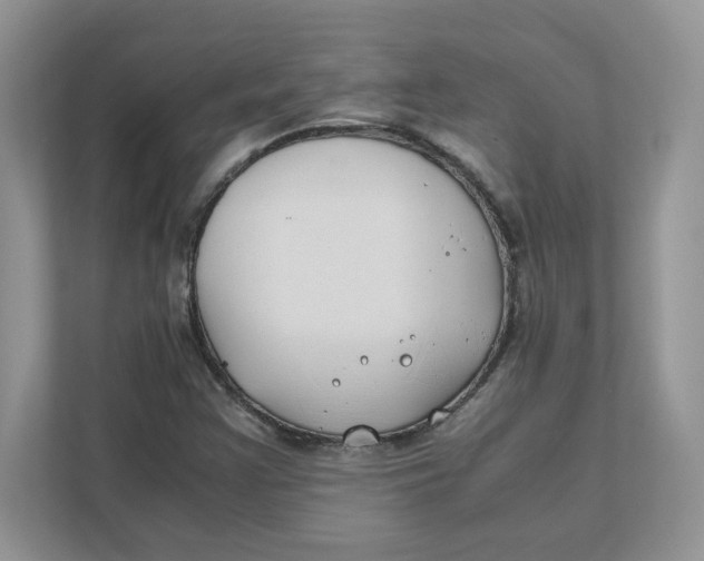 X0000111491355200908041134