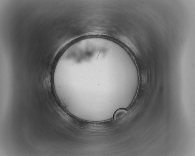 X0000111491356200908041134