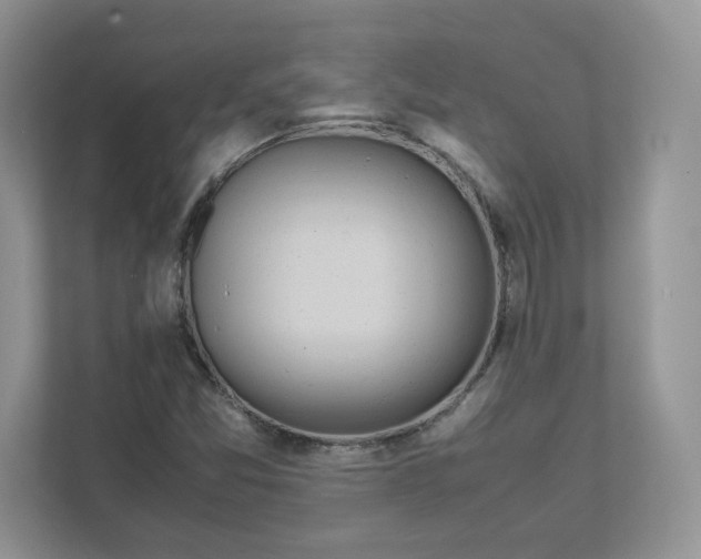 X0000111491357200908041134