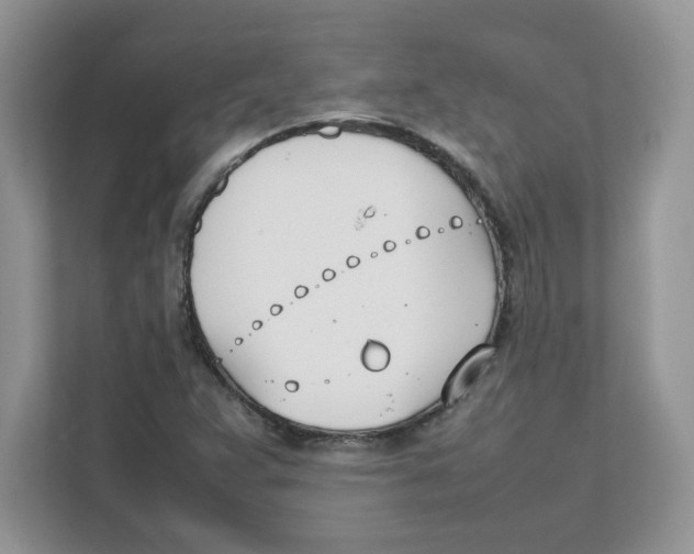 X0000111491359200908041134