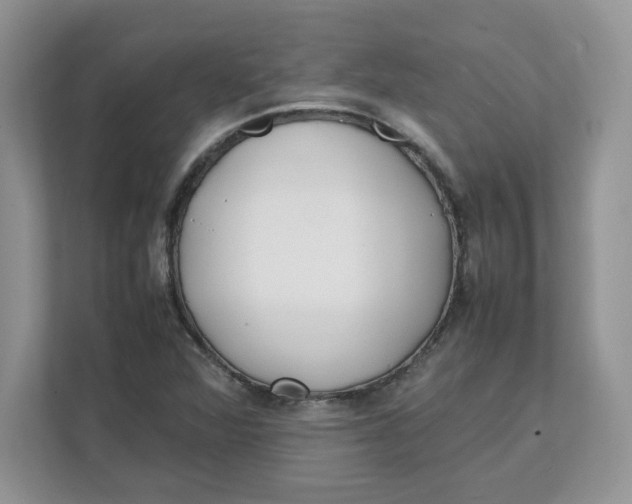 X0000111491360200908041134