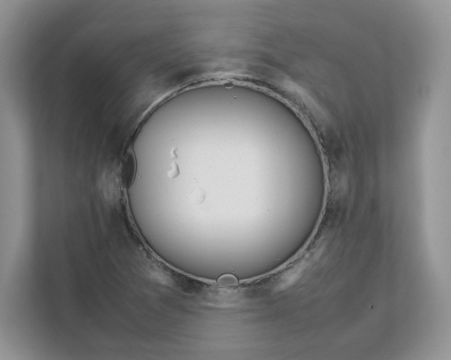 X0000111491361200908041134