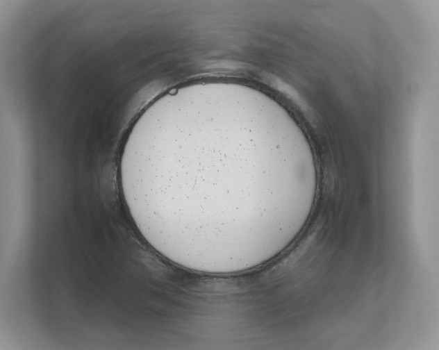 X0000111491362200908041134