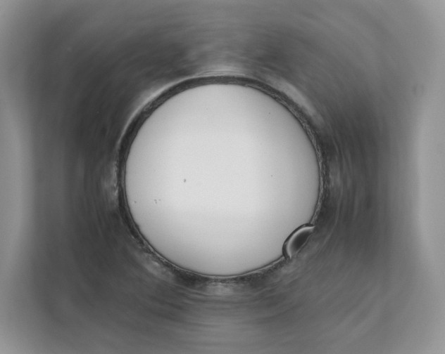 X0000111491364200908041134