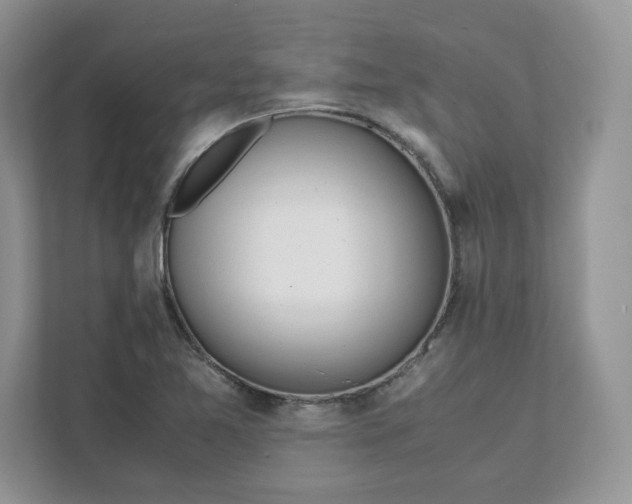 X0000111491365200908041134