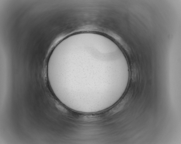 X0000111491366200908041134