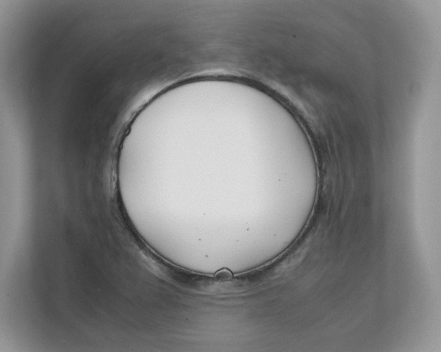 X0000111491367200908041134