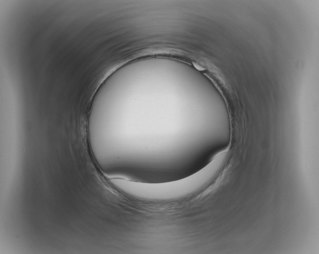 X0000111491369200908041133