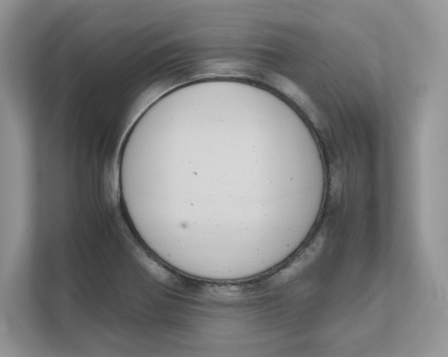 X0000111491370200908041133