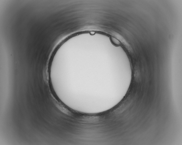 X0000111491372200908041133