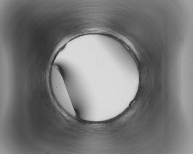 X0000111491373200908041133