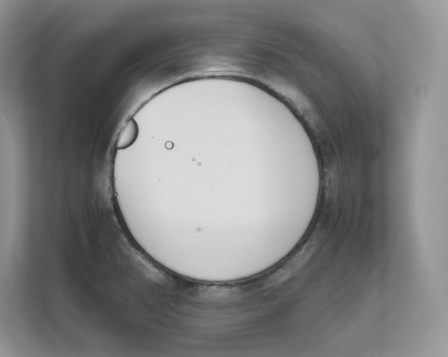 X0000111491374200908041133