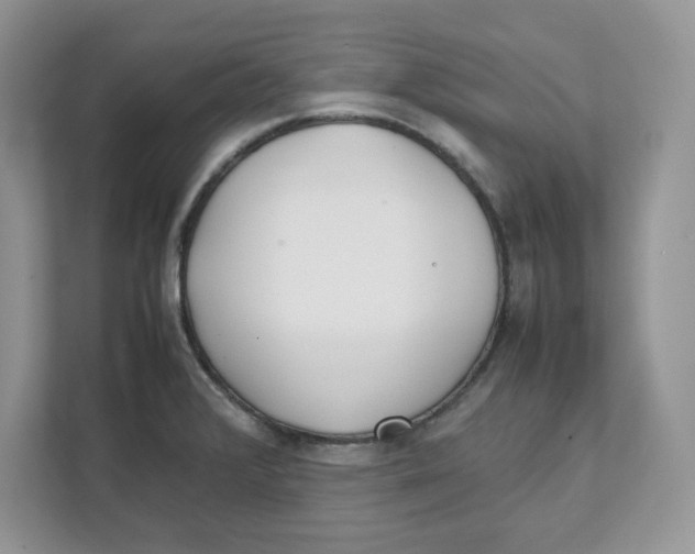 X0000111491376200908041133