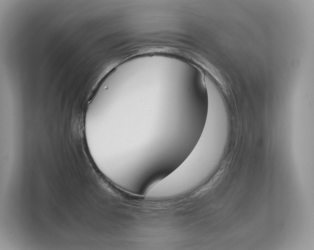 X0000111491377200908041133