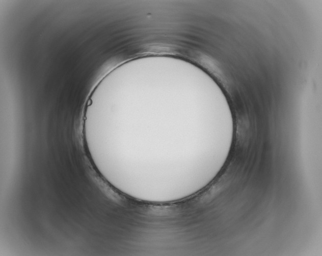 X0000111491378200908041133