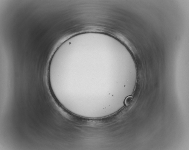 X0000111491379200908041133