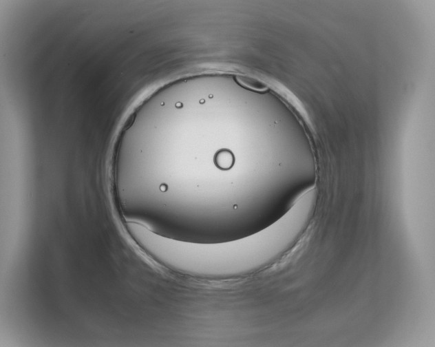 X0000111491381200908041133