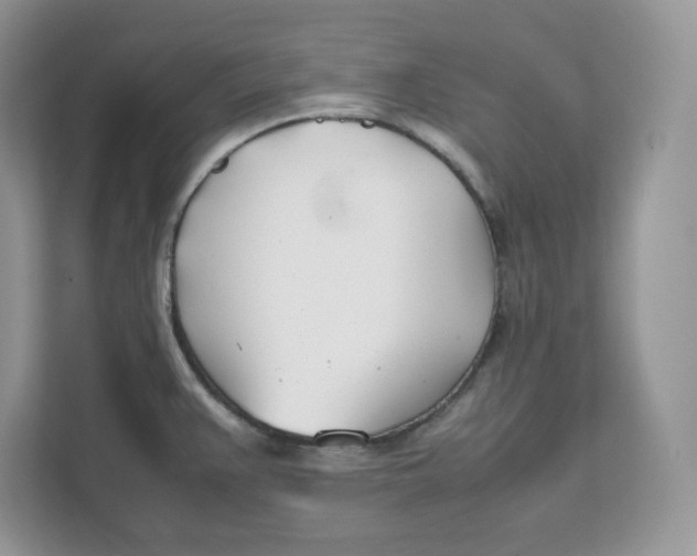 X0000111491383200908041133