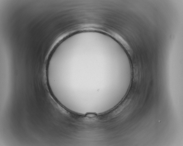 X0000111491384200908041133