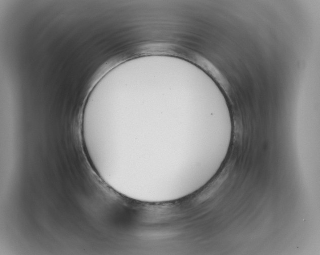 X0000111491386200908041133