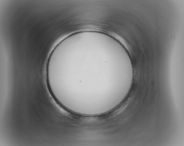 X0000111491387200908041133