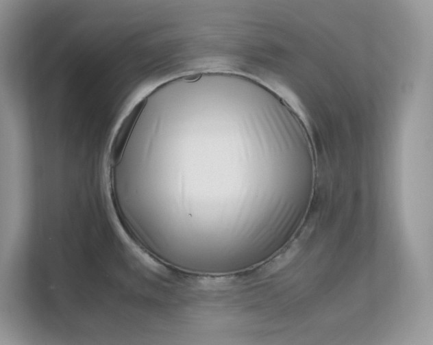 X0000111491389200908041133