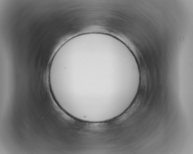 X0000111491390200908041133